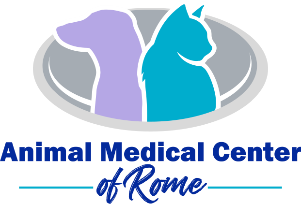 Veterinarian Near Me - Contact Us | Animal Medical Center of Rome